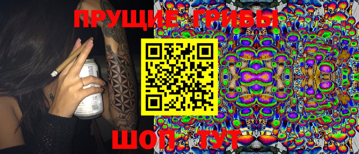 Галлюциногенные грибы GOLDEN TEACHER  Вход с VPN  Кувандык 